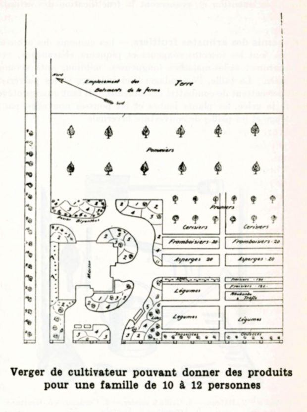 Plan d'aménagement d'un verger de cultivateur