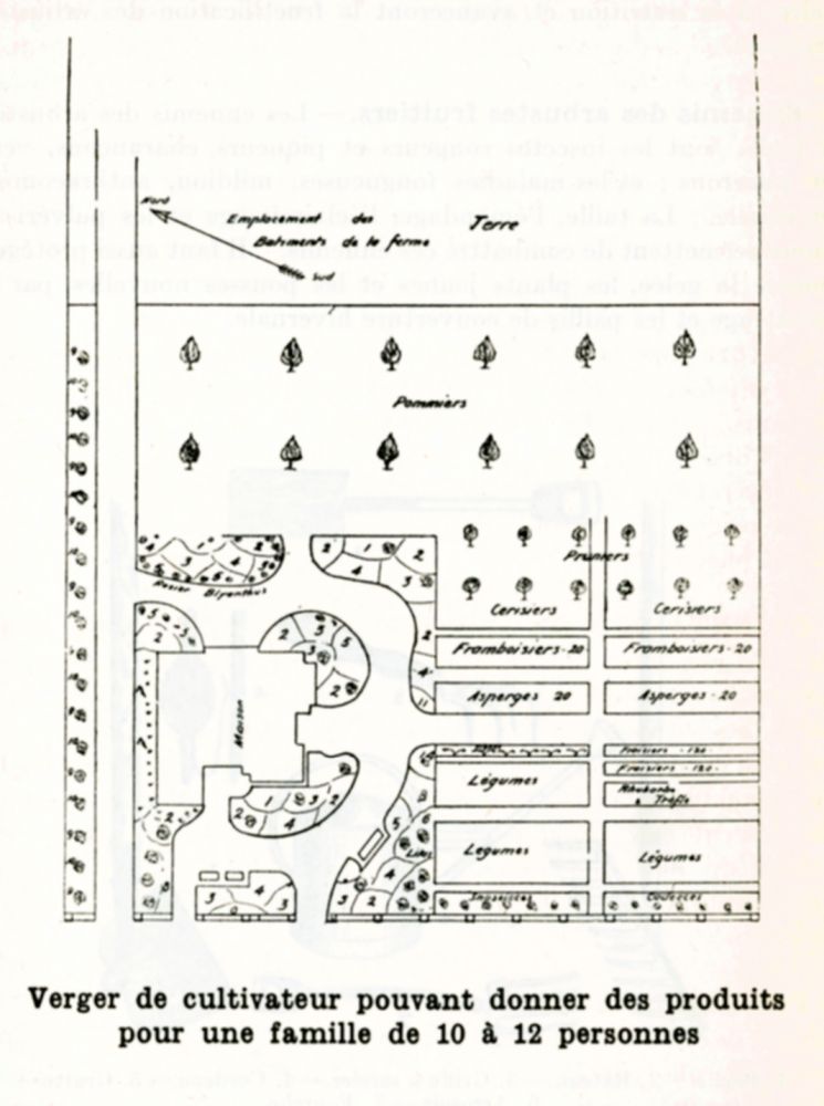 Plan d'aménagement d'un verger de cultivateur