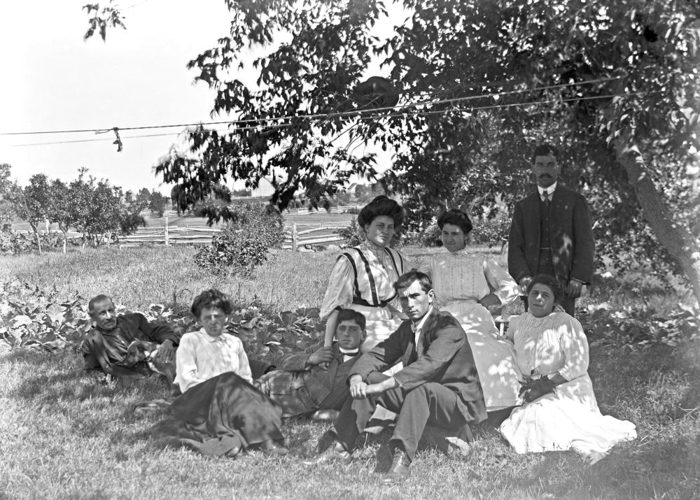 Photo ancienne d'un champ bordé de pommiers et huit personnes assises au sol