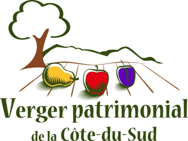 Logo Verger patrimonial de la Côte-du-Sud