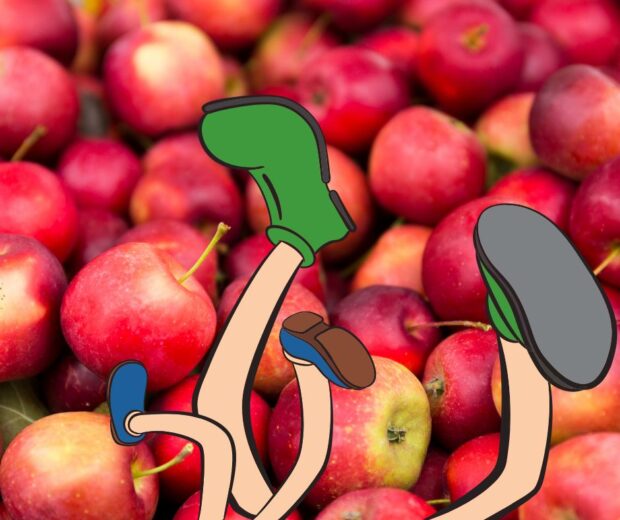 Beaucoup de pommes avec les jambes de deux personnes tombées dedans