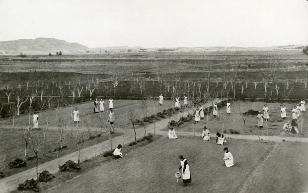 Vastes jardins d'une communauté religieuse où des jeunes filles en tablier travaillent.