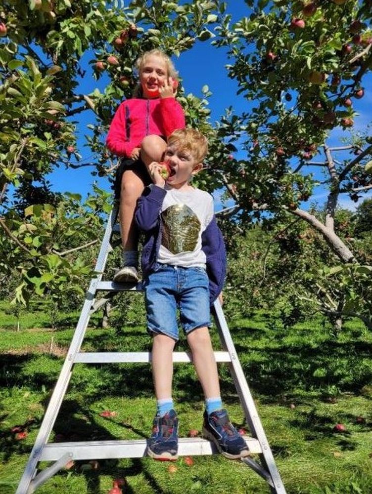Deux enfants sur une échelle dans un verger une pomme à la main