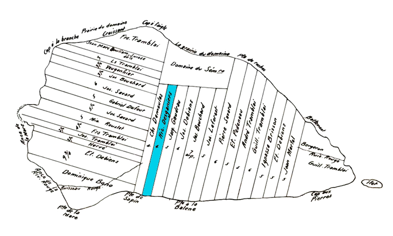 Le plan d’une île est dessiné en noir et blanc. Tout le territoire de l’île est divisé en bandes de terres rectangulaires. Sur chacune d’entre elles apparaît le nom de son propriétaire. Dans le bas de l’image, au centre, une bande est colorée en bleu. Il s’agit de la terre de Nicolas Desgagnés.