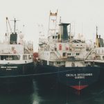 Les navires Amélia, Cécilia et Mélissa Desgagnés