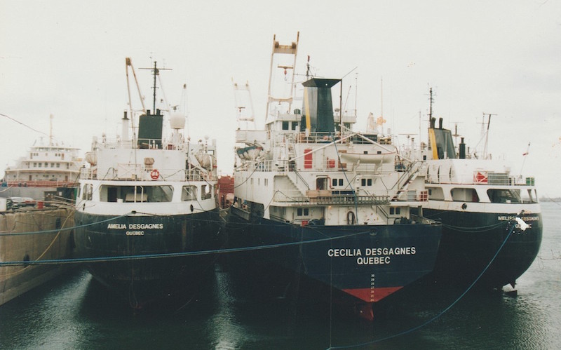 Photographie couleur. Trois navires d’acier sont à quai par une température grise. Des câbles bleus les attachent ensemble. Leurs coques sont bleu marin et une bande jaune traverse leurs cheminées respectives. On peut lire leurs noms imprimés sur leurs coques, de gauche à droite : Amelia Desgagnes, Cecilia Desgagnes et Melissa Desgagnes. 