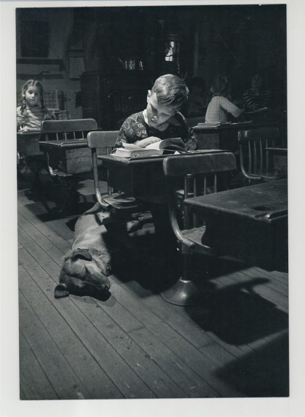 Un enfant lit à son pupitre pendant qu’un gros chien se repose à ses pieds. Derrière lui, on aperçoit une petite fille aux cheveux tressés.