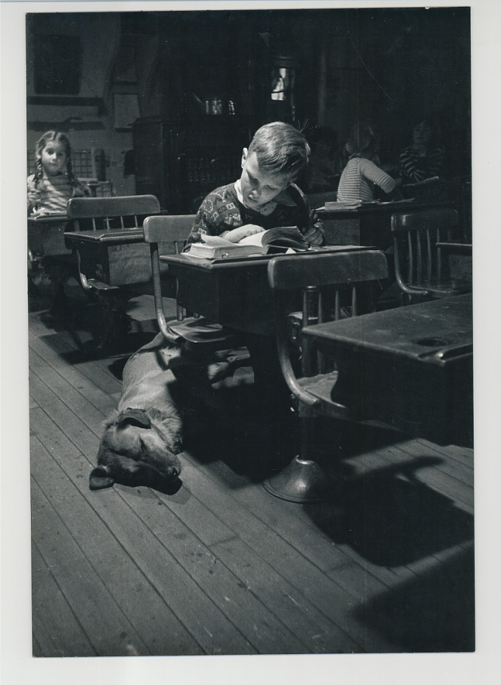 Un enfant lit à son pupitre pendant qu’un gros chien se repose à ses pieds. Derrière lui, on aperçoit une petite fille aux cheveux tressés.