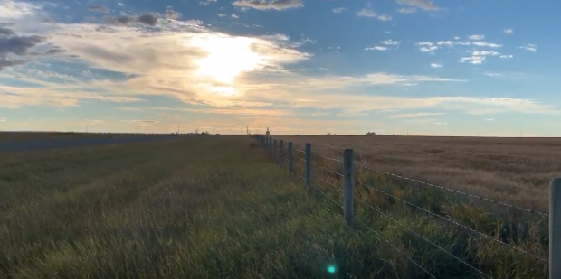 Prairie et clôture grillagée disparaissant à l’horizon.