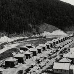 Des cabanes de houilleurs à Michel, C.-B.