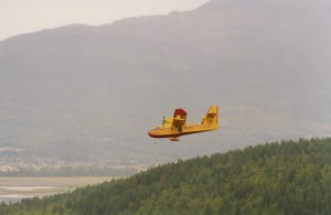 Avion jaune en vol au-dessus d'une forêt verte. Colline en arrière-plan.