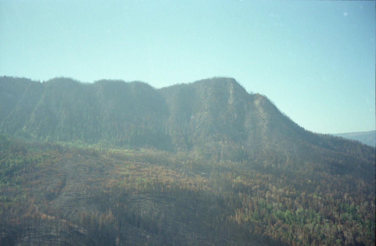 Vue d'une montagne après l'incendie.