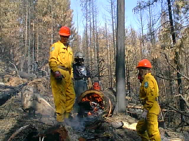 Homme debout près d'un arbre coupé en feu.
