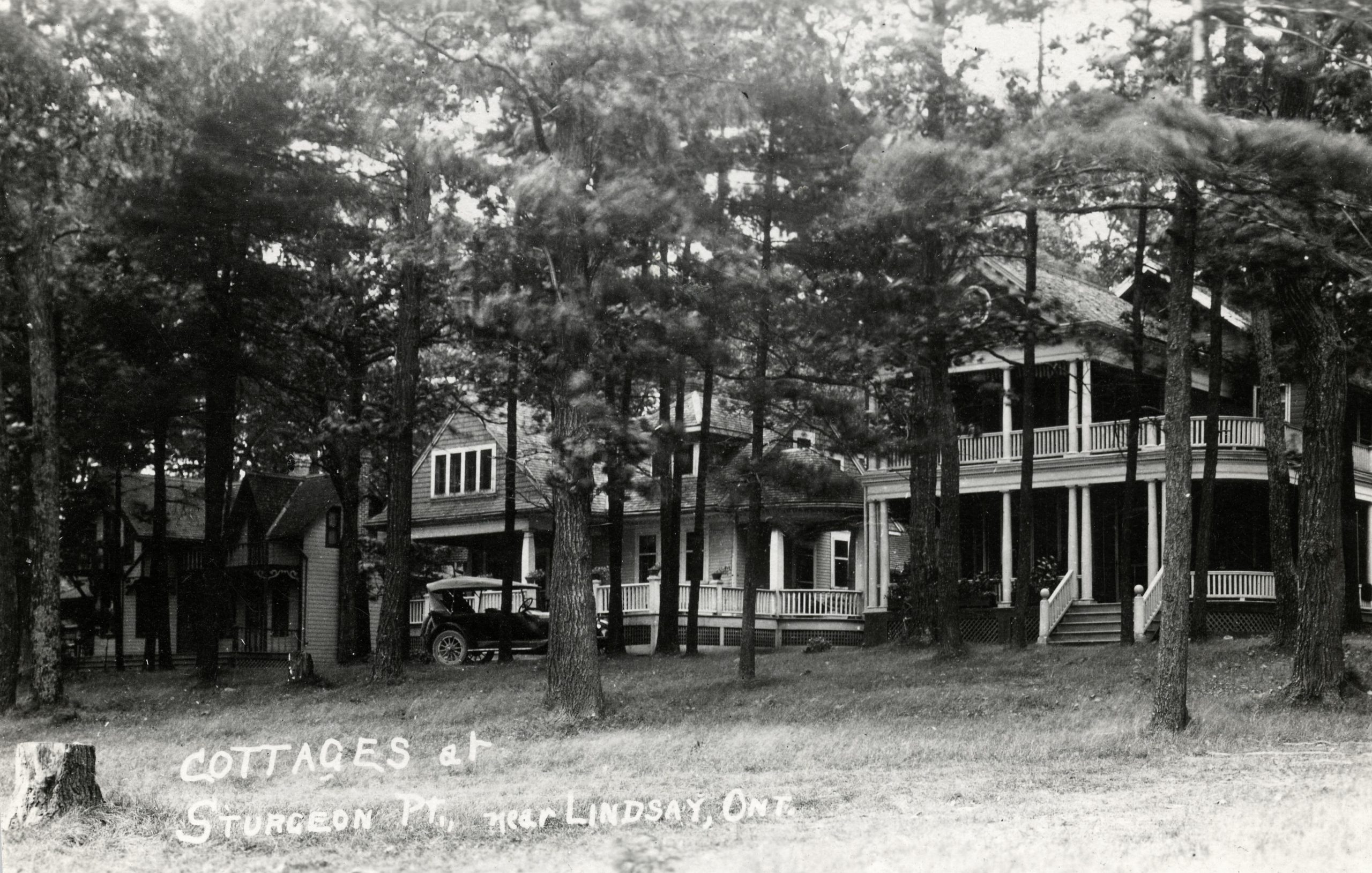 Deux chalets avec des arbres à l’avant-plan.