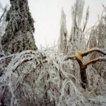 Le poids de la glace