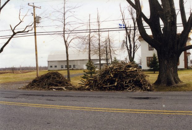 Les branches sont mises au bord de la route pour la collecte.