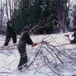 Les militaires aident au ramassage