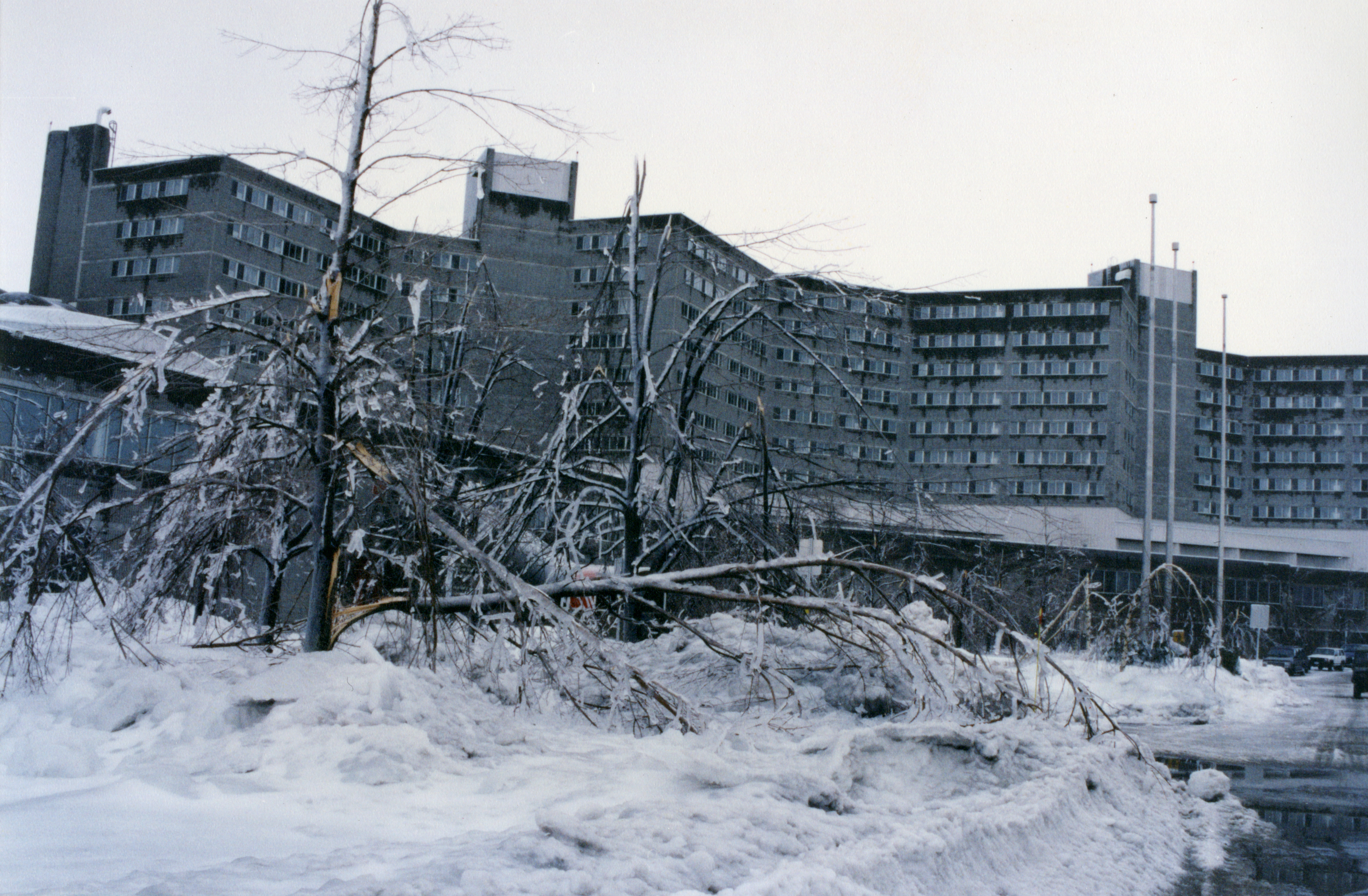 Les arbres se brisent sous le poids de la glace. On voit en arrière plan la base militaire de Saint-Jean.