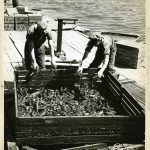 Les coopératives de pêcheurs à Pictou (Nouvelle-Écosse)