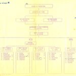 Organigramme des directeurs et des comités