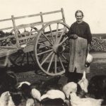 Une dame avec ses volailles, vers 1930