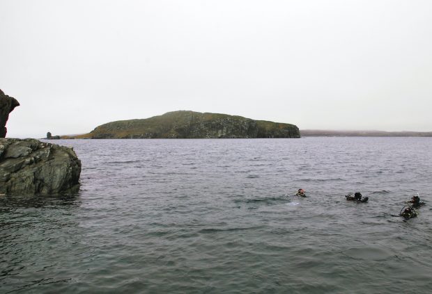 Photographie en couleur d’un groupe de plongeurs dans l’eau, avec une île à distance.