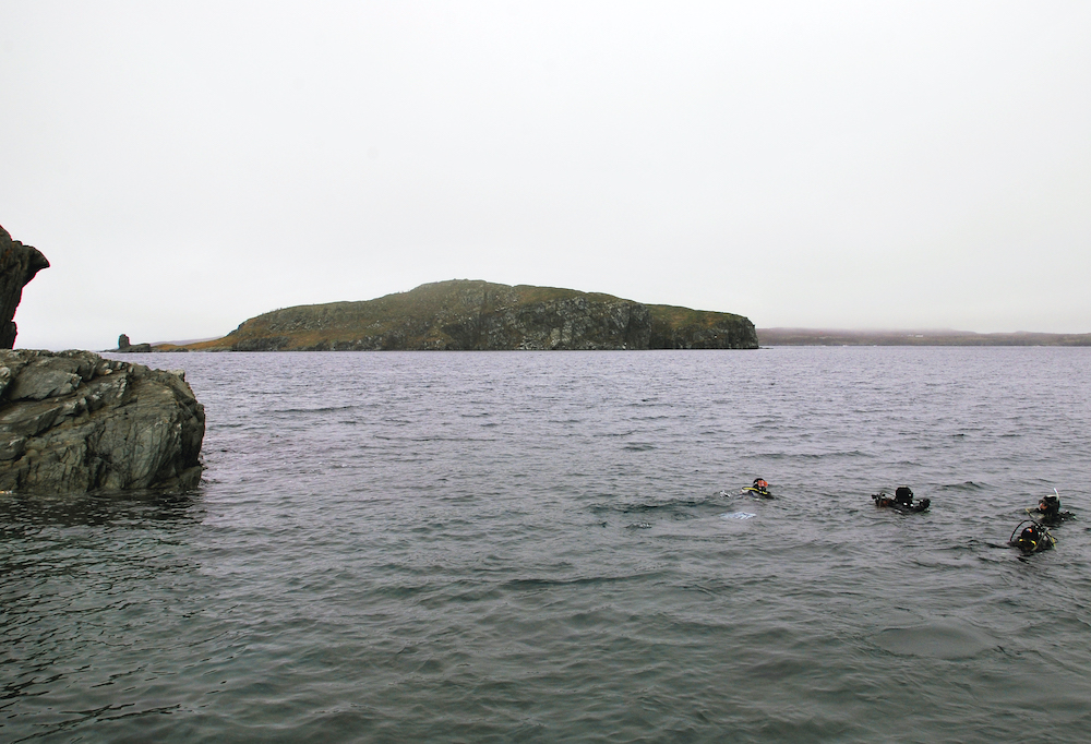 Photographie en couleur d’un groupe de plongeurs dans l’eau, avec une île à distance.