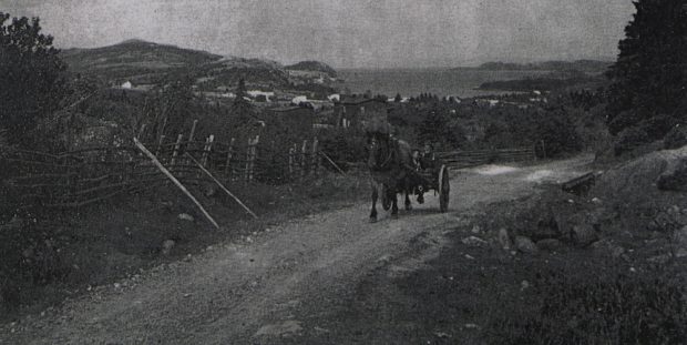 Photographie en noir et blanc montrant une route longée de clôtures. Un cheval et un chariot tirent deux hommes qui avancent en direction de l’objectif.
