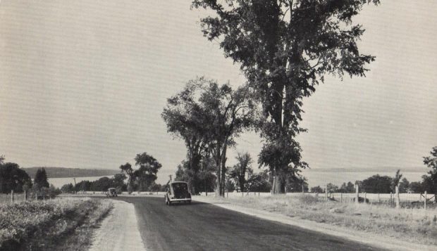 Image en noir et blanc de deux voitures sur l’autoroute, avec des arbres et un lac à l’arrière-plan