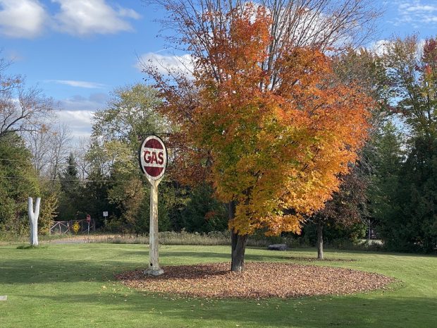 Photo couleur d’une affiche entourée d’arbres, des feuilles tombées, une pelouse et le ciel à l'arrière-plan