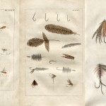 Guide de pêche à la mouche