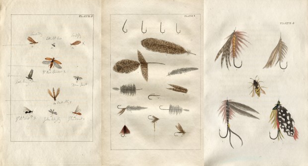 Une variété de mouches a pêche, de mouches et de plumes tirées d'un livre de 1816, il était utilisé par les pêcheurs