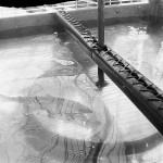 Le réservoir de capture