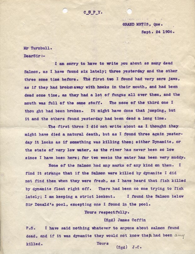 Lettre provenant de James Coffin pour Robert Wilson Reford, concernant l'état du saumon de la rivière Mitis le 24 septembre 1906.