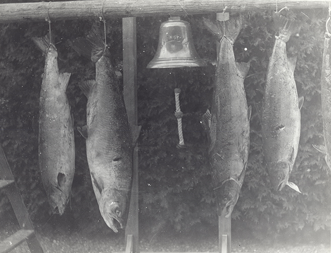 Épreuve argentique de quatre saumons suspendus près de la cloche au devant de la Villa Estevan