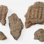 Fragments de poterie