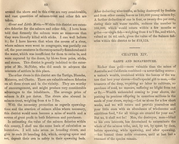 Pages 85 et 86 du livre The Salmon Fisheries of the St. Lawrence and its tributaries.