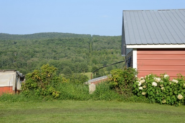 Le tracé de la frontière frôle la grange comme le montre la borne devant la montée et la tranchée déboisée qui s’étire vers l’horizon. 