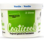 Contenant du Yogourt grec glacé