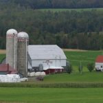 Ferme René Vaillancourt