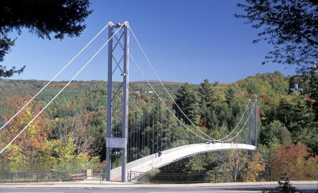 Photo couleur qui présente un énorme pont suspendu pour piétons dans son décor boisé avec un paysage d’automne. 