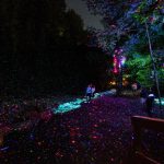 Vue partielle de Foresta Lumina (1)