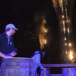 Vue partielle de Foresta Lumina (2)