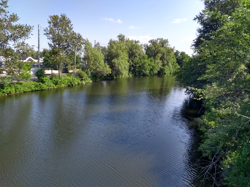 Photo couleur qui présente la rivière Coaticook bordée de pins