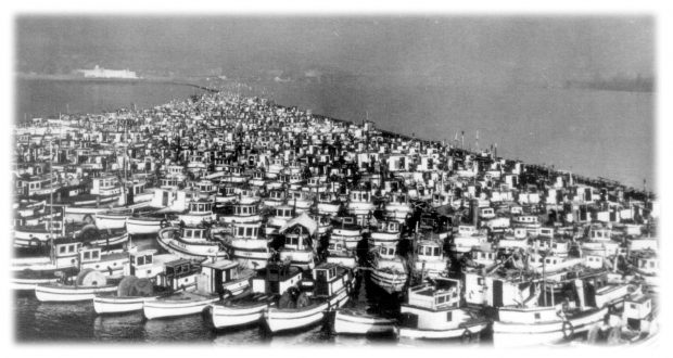 Des milliers de bateaux de pêche confisqués regroupés dans un port