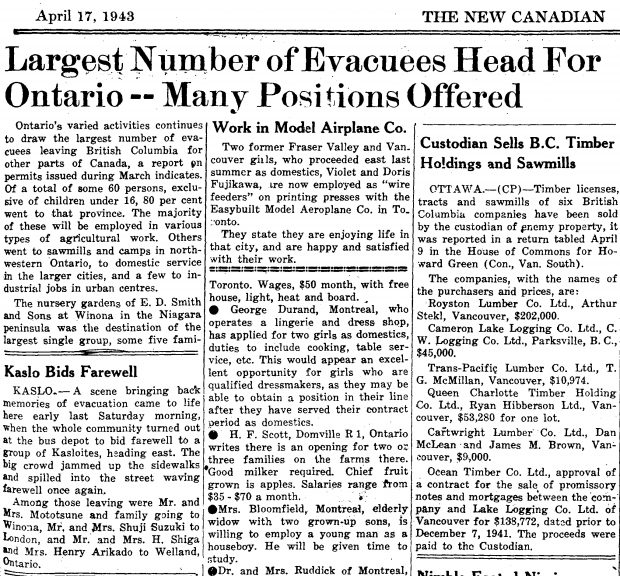  Coupure de journal intitulée Le plus grand nombre de personnes évacuées se dirigent vers l'Ontario - Plusieurs postes offerts