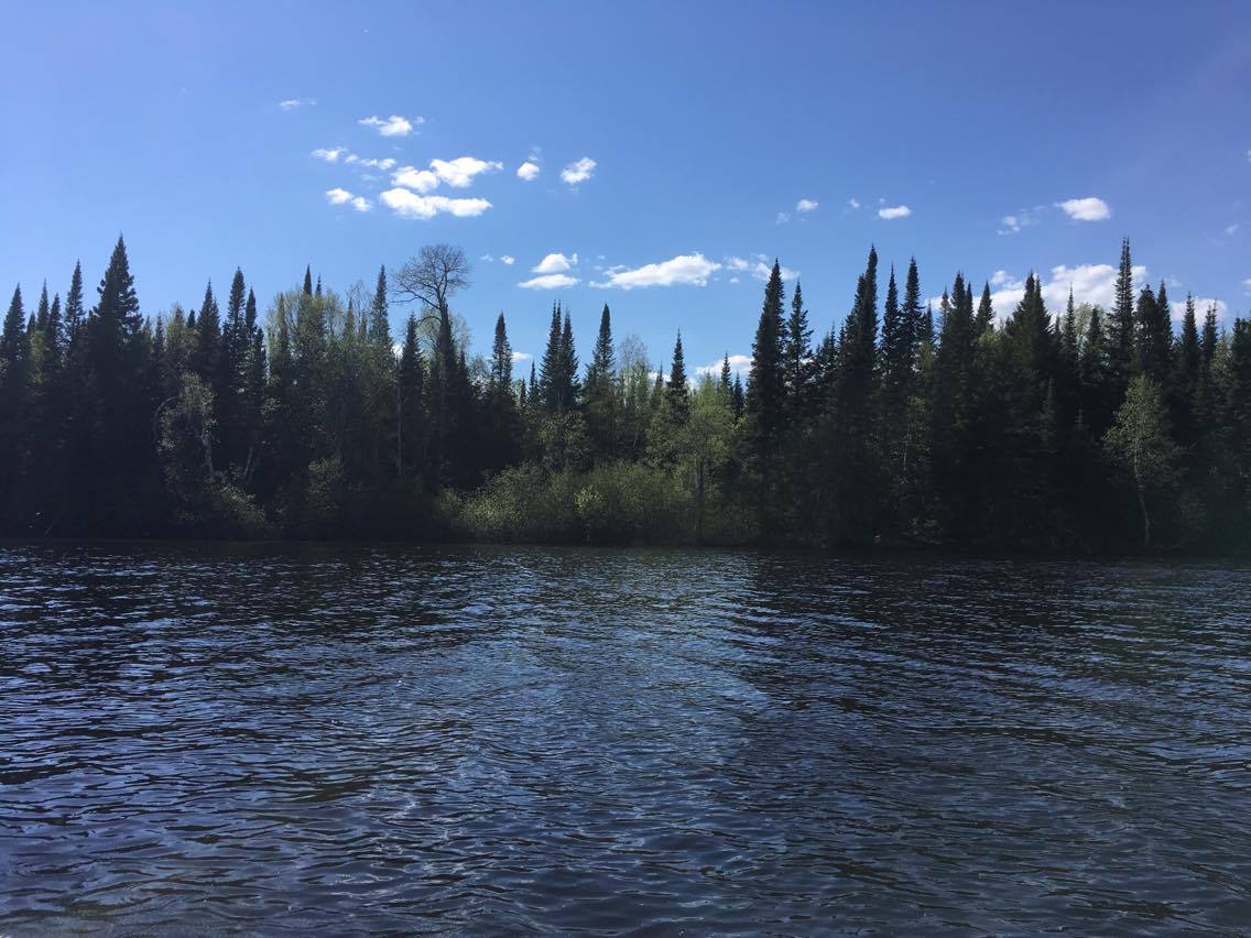 Paysage d'été, Rapide-des-Cèdres. Forêt de conifères et de feuillus. Un ciel bleu avec quelques nuances blancs et un cours d'eau (lac). Photo en couleur.