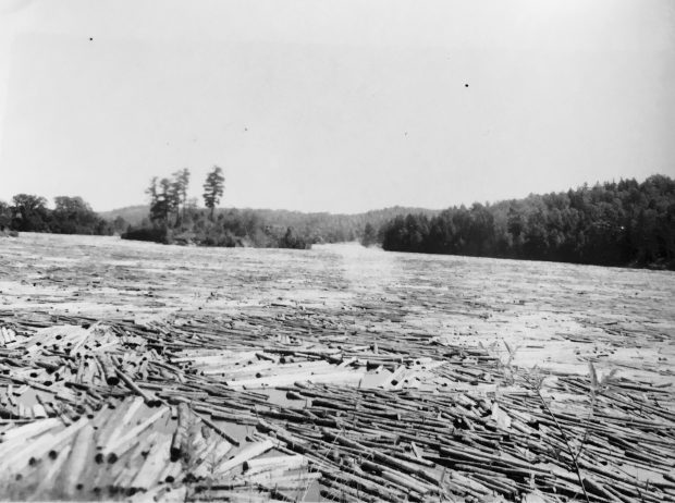 Des billots de bois qui flottent dans un cours d'eau (drave).