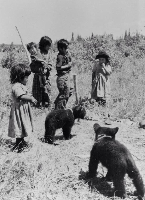 Jeunes anicinabek jouant avec deux petits ours dehors. Deux jeunes filles portent des robes. Deux jeunes garçons se tiennent près d'elles. L'un d'eux tient un bébé dans ses bras. Autour d'eux, on y voit de la végétation. Photo en noir et blanc.