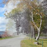 L’avenue Lac à rue 5ème, Sturgeon Point